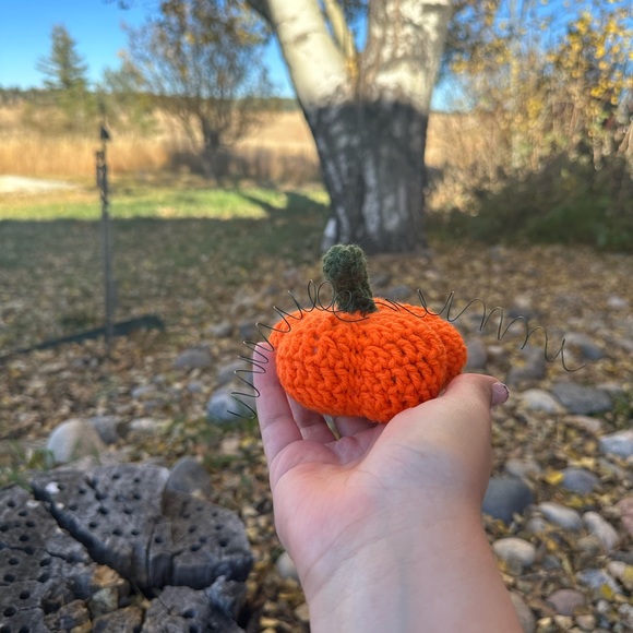 Hand made pumpkin decor - Picture 5 of 5